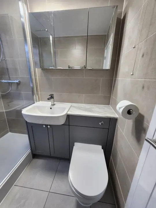 Grey shower room