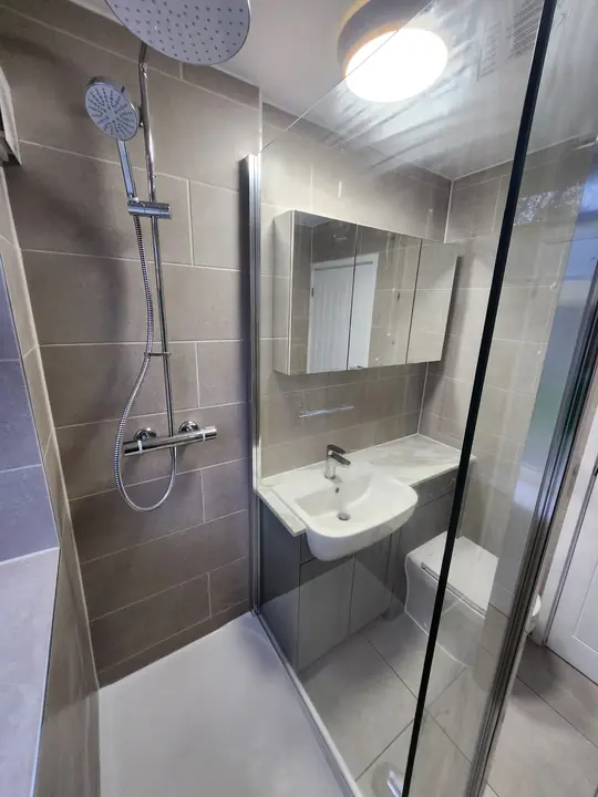 Grey shower room