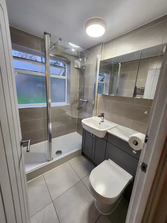 Grey shower room